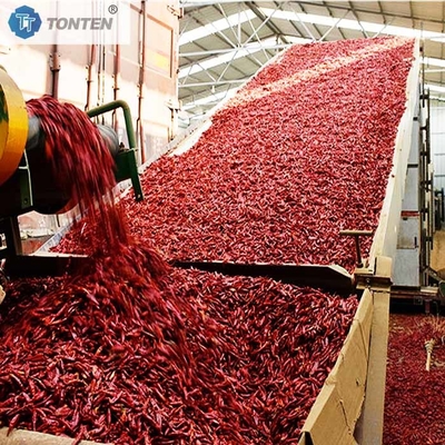 Asciugatrice di cintura Macchina pepe peperoncino Crisantemo Asciugatrice di cintura disidratazione