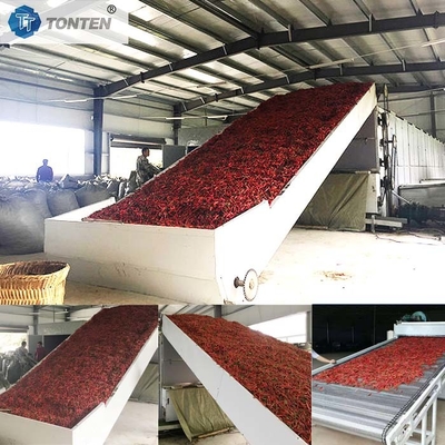 Chili Crisantemo Cassava Asciugatrice con nastro trasportatore