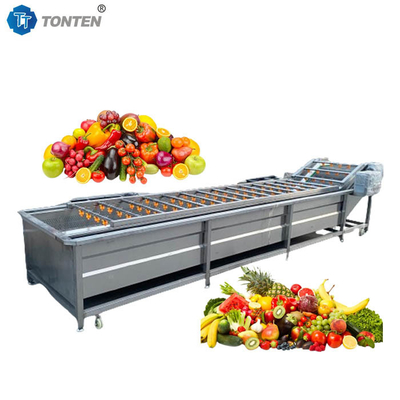 Lavatrice di frutta e verdura per lattuga su misura 500-1000 kg/ora