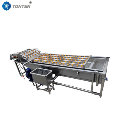 Macchina di pulizia alimentare a bolla completamente automatica per il lavaggio di frutta e verdura