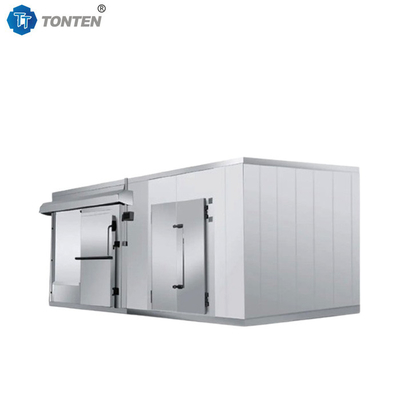 Frigorifero Frutta Frutti di mare Blast Camera fredda Freezer Stoccaggio 20ft 40ft