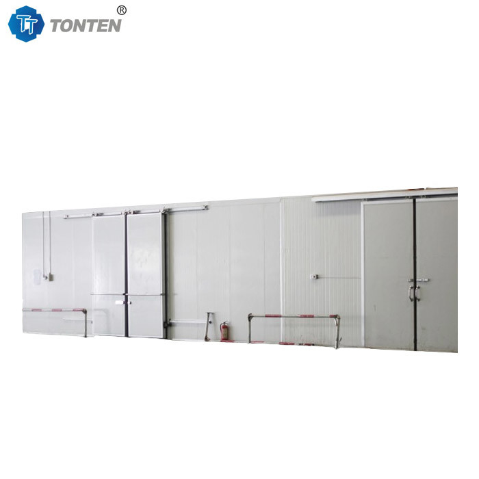 Commerciale Freezer Camera fredda Carne Pesce Fiori Camminare In Cold Storage più fresco
