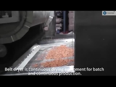 essiccatore della cinghia