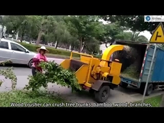 Macchina di legno del frantoio